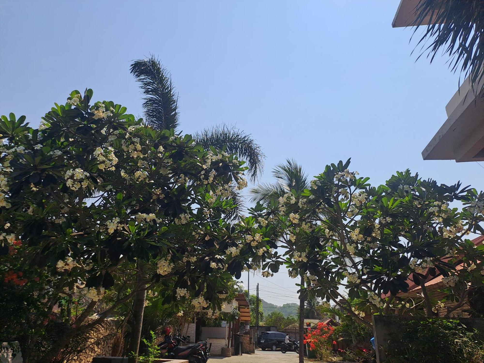 Kutabay Homestay Kuta  Exteriör bild